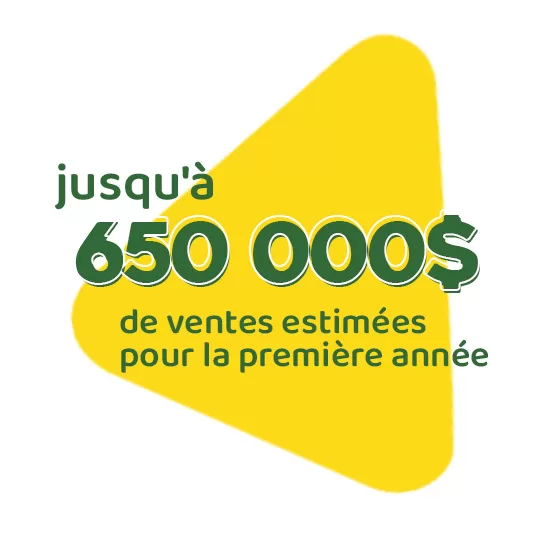 franchise revenu3
